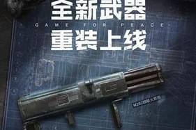 和平精英占点竞技武器大全（从短枪到重机枪）