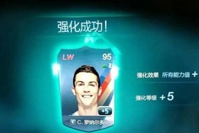 《FIFA14》游戏键盘设置文教程（掌握《FIFA14》游戏键盘设置）