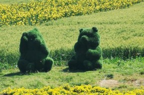 活下去种植玩法攻略（掌握游戏规则）