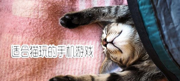 如何消除更多的猫咪——《坏坏猫咪》游戏攻略（掌握技巧轻松过关）  第1张